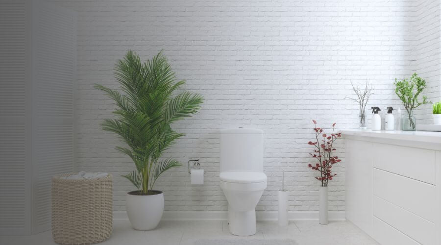 Why Choose Porta Potty Rental Company